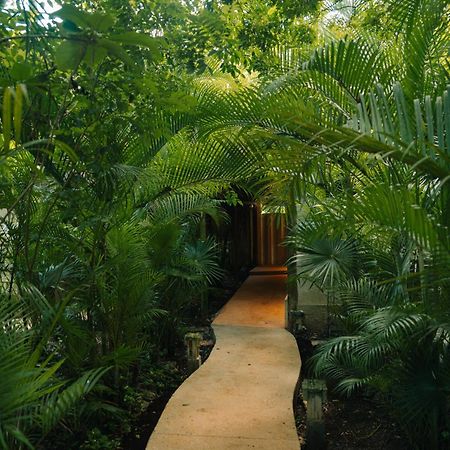 Hotel Aldea Coba An Escape Boutique Experience Exteriér fotografie