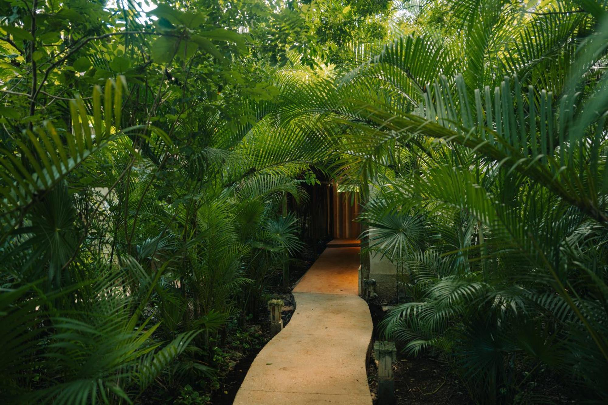 Hotel Aldea Coba An Escape Boutique Experience Exteriér fotografie
